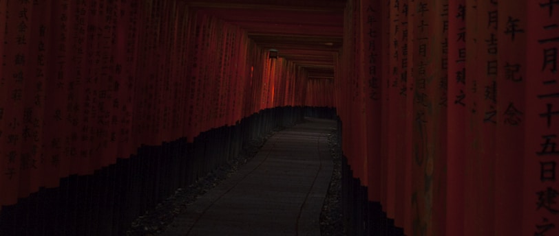 Japan's Premier Picks: 10 Must-Go Locations, From Tokyo's Modernity to Kyoto's Tradition