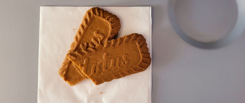 American Airlines: Breaking Down the Positives, Negatives, and Pricing Details